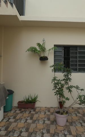 Casa para alugar com 70m², 1 quarto e 2 vagasÁrea comum - Área de Serviço