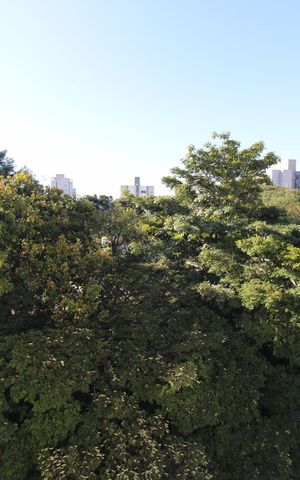 Apartamento para alugar com 70m², 2 quartos e 1 vagaSacada
