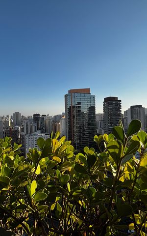 Apartamento à venda com 226m², 3 quartos e 3 vagas