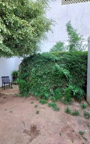 Apartamento à venda com 72m², 3 quartos e 1 vaga Apartamento à venda com 72m², 3 quartos e 1 vagaEspaço Pet