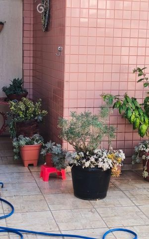Apartamento à venda com 97m², 3 quartos e 2 vagas Apartamento à venda com 97m², 3 quartos e 2 vagasÁrea externa