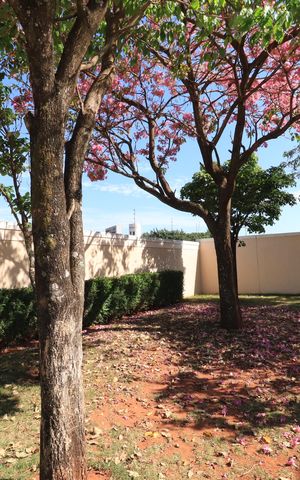 Casa de condomínio para alugar com 95m², 3 quartos e 2 vagasÁrea comum