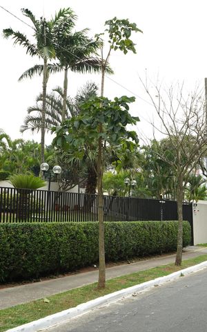 Apartamento à venda com 52m², 2 quartos e 1 vagaFachada