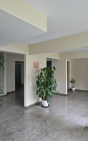 Apartamento à venda com 53m², 2 quartos e 1 vagaHall Social