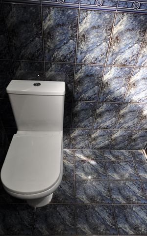 Casa para alugar com 250m², 4 quartos e 2 vagasBanheiro Social
