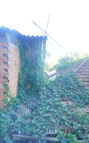 Apartamento para alugar com 43m², 2 quartos e 1 vagaVista do Quarto 2