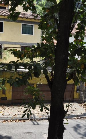 Apartamento à venda com 66m², 2 quartos e 1 vagaVista do quarto 2
