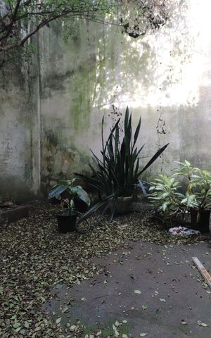 Casa para alugar com 108m², 2 quartos e 1 vagaQuintal
