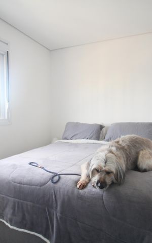 Apartamento para alugar com 42m², 2 quartos e 1 vagaQuarto 2