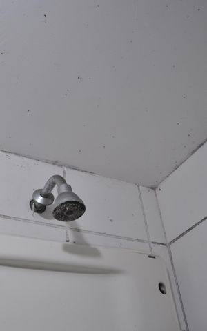 Apartamento à venda com 64m², 3 quartos e 1 vagaBanheiro Social