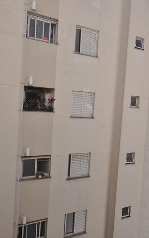 Apartamento para alugar com 60m², 2 quartos e 1 vagaVista do Quarto 1