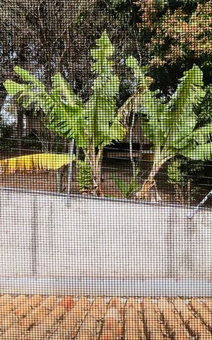 Casa de condomínio à venda com 100m², 3 quartos e 2 vagas