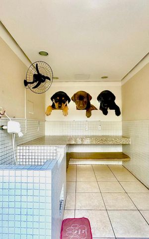 Apartamento para alugar com 45m², 2 quartos e 1 vaga Apartamento para alugar com 45m², 2 quartos e 1 vagaEspaço pet