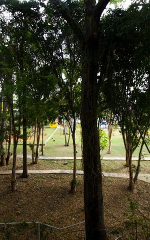 Studio para alugar com 17m², 1 quarto e sem vagaVista