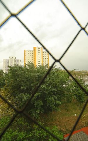 Apartamento para alugar com 53m², 2 quartos e 1 vagaVista Quarto 1 