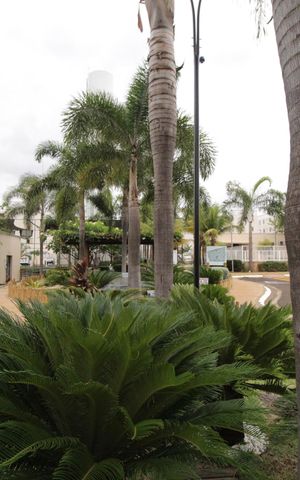 Apartamento para alugar com 55m², 2 quartos e 1 vagaÁrea comum