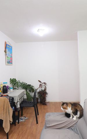 Apartamento para alugar com 44m², 2 quartos e sem vagaSala