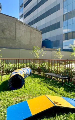 Studio para alugar com 26m², 1 quarto e sem vaga Studio para alugar com 26m², 1 quarto e sem vagaPetplace