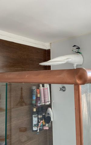 Apartamento para alugar com 45m², 2 quartos e 1 vaga Apartamento para alugar com 45m², 2 quartos e 1 vagaBanheiro