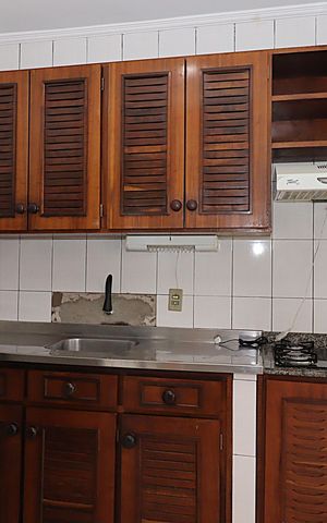 Apartamento para alugar com 38m², 1 quarto e sem vagaCozinha