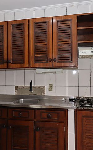 Apartamento para alugar com 38m², 1 quarto e sem vagaCozinha - Armários