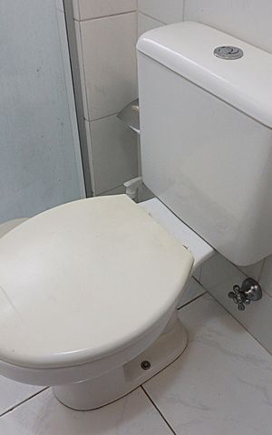 Apartamento para alugar com 38m², 1 quarto e sem vagaBanheiro
