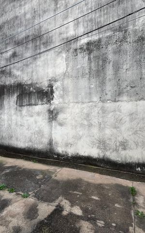 Casa para alugar com 55m², 1 quarto e sem vaga Casa para alugar com 55m², 1 quarto e sem vagaÁrea externa