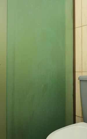 Apartamento à venda com 56m², 2 quartos e sem vagaBanheiro