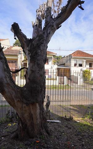 Casa à venda com 360m², 3 quartos e 3 vagasQuintal