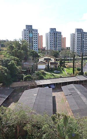 Apartamento à venda com 56m², 2 quartos e 1 vagaVista do Quarto 1