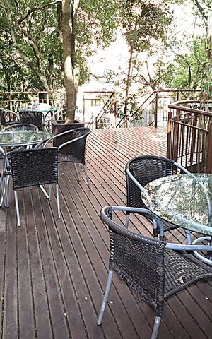 Apartamento à venda com 56m², 2 quartos e 1 vagaÁrea comum - Espaço Gourmet
