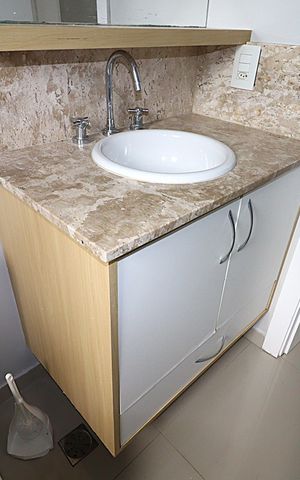 Apartamento à venda com 56m², 2 quartos e 1 vagaBanheiro 