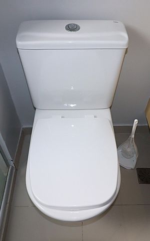 Apartamento à venda com 56m², 2 quartos e 1 vagaBanheiro 