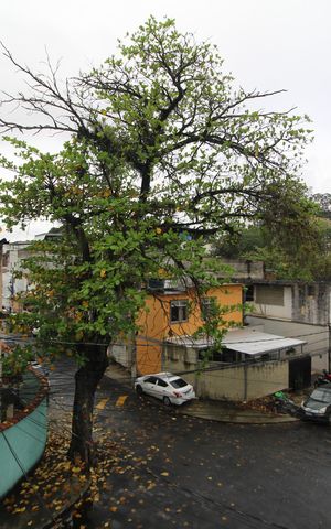 Casa de condomínio à venda com 212m², 3 quartos e 1 vagaVista do Terraço