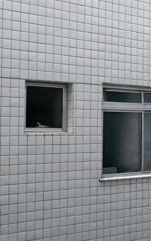 Apartamento para alugar com 72m², 2 quartos e 1 vagaVista da Área de Serviço