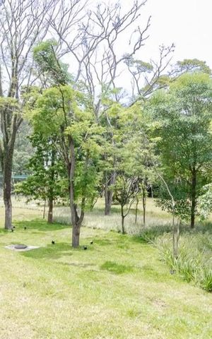 Apartamento para alugar com 66m², 2 quartos e 1 vagaÁrea comum