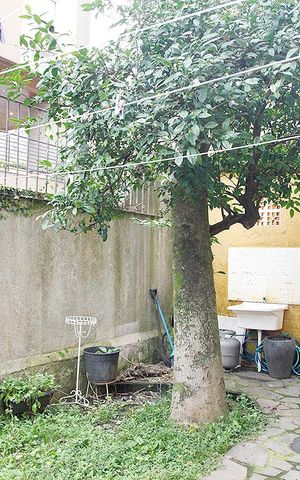 Apartamento à venda com 120m², 2 quartos e sem vagaÁrea comum