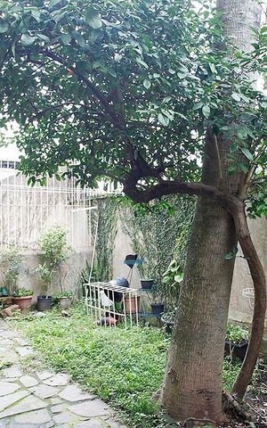 Apartamento à venda com 120m², 2 quartos e sem vagaÁrea comum