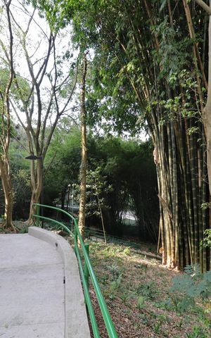 Apartamento à venda com 280m², 4 quartos e 4 vagasÁrea comum - Bosque