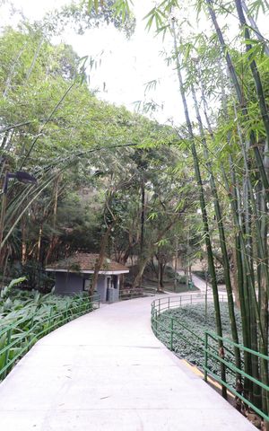 Apartamento à venda com 280m², 4 quartos e 4 vagasÁrea comum - Bosque