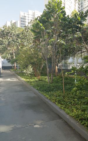Apartamento à venda com 86m², 3 quartos e 2 vagasÁrea comum - Cooper