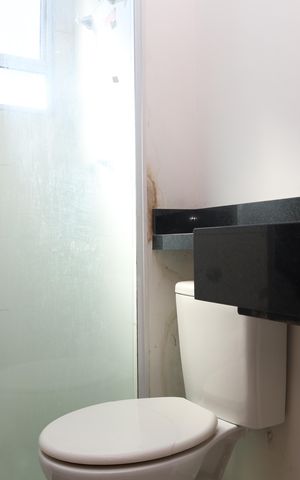 Apartamento para alugar com 47m², 1 quarto e sem vagaBanheiro