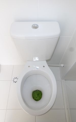 Apartamento para alugar com 41m², 1 quarto e sem vagaBanheiro da Suíte