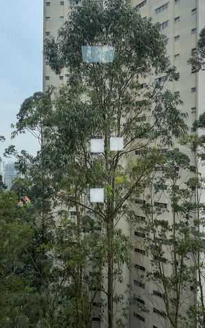 Apartamento à venda com 273m², 4 quartos e 2 vagasVista da Sala