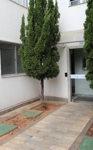 Apartamento à venda com 47m², 2 quartos e 1 vagaÁrea comum