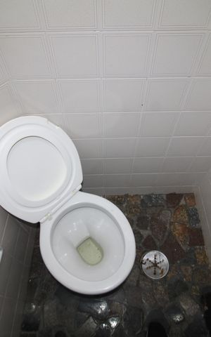 Casa para alugar com 250m², 4 quartos e 4 vagasÁrea de Serviço - Banheiro