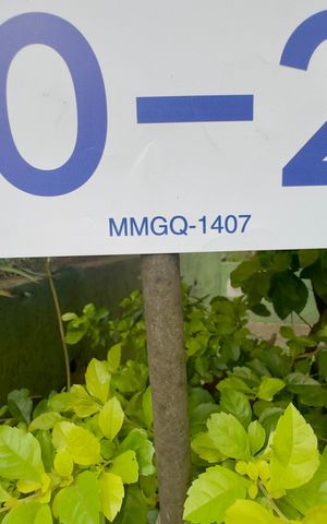 Casa de condomínio para alugar com 45m², 2 quartos e sem vaga Casa de condomínio para alugar com 45m², 2 quartos e sem vagaCódigo da placa MMGQ-1407