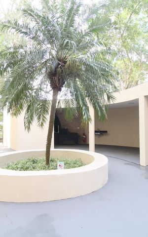 Apartamento para alugar com 47m², 2 quartos e 1 vagaÁrea comum