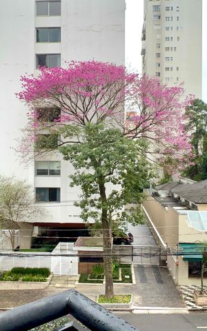 Apartamento para alugar com 42m², 1 quarto e 1 vagaVaranda