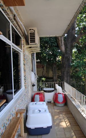 Apartamento à venda com 65m², 3 quartos e 1 vagaVaranda